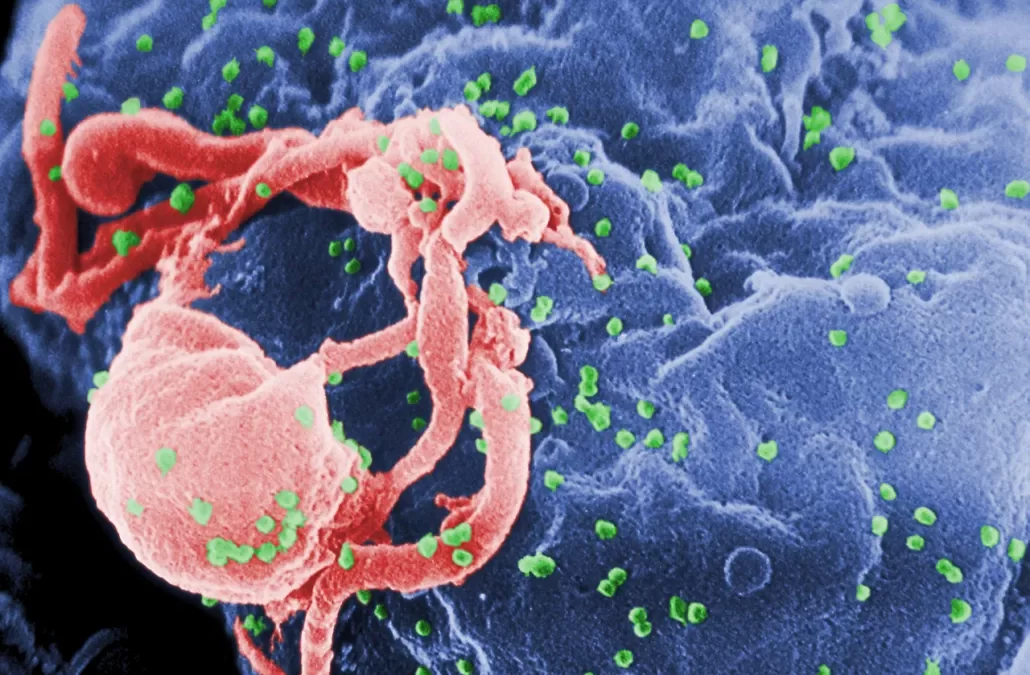 New antibody suppresses HIV for 28 days after single dose